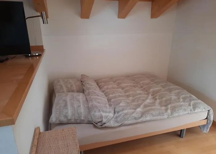 Haus Orta Apartment *