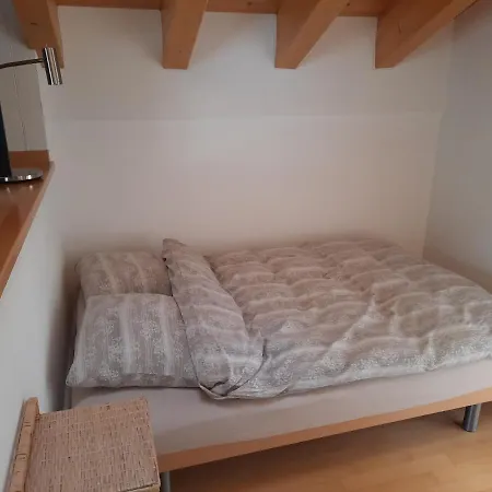 Haus Orta Apartment *